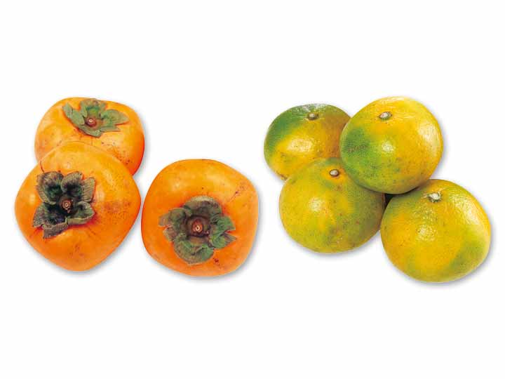 種なし柿と極早生温州みかんのセット