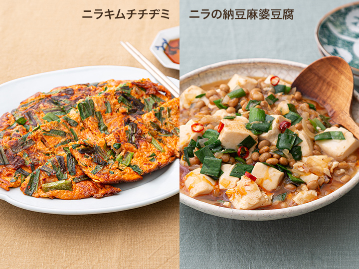 腸おいしい　3種の野菜セット（白玉ねぎ・ごぼう・ニラ）_4