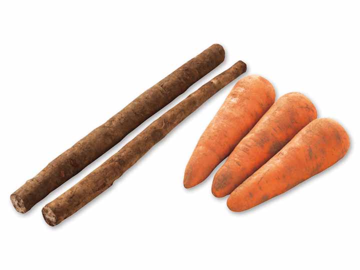 サラダでも煮物でも活躍　ごぼう＆人参のセット