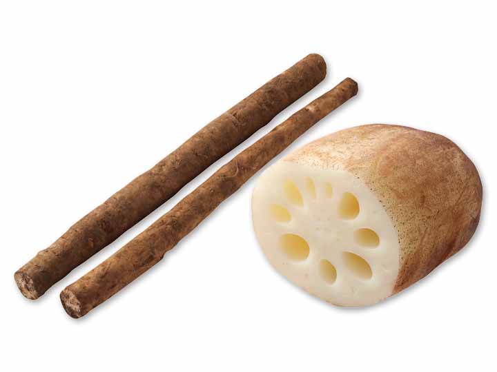 土の香りを楽しむコンビ　ごぼう＆れんこんのセット