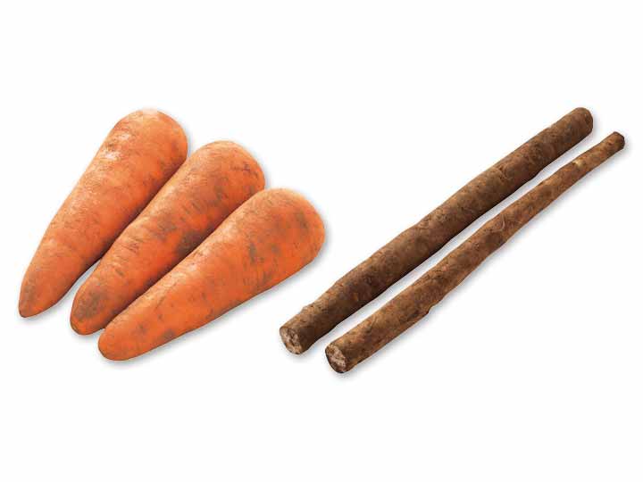 サラダでも煮物でも◎　人参＆ごぼうのセット