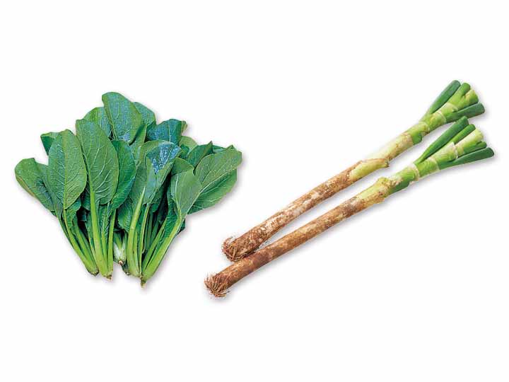 お味噌汁から炒め物まで　小松菜と長ねぎのセット