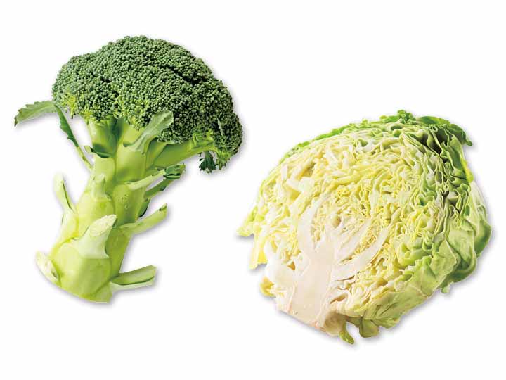 甘みがギュッと詰まったスープに　ブロッコリー＆キャベツ1／2のセット