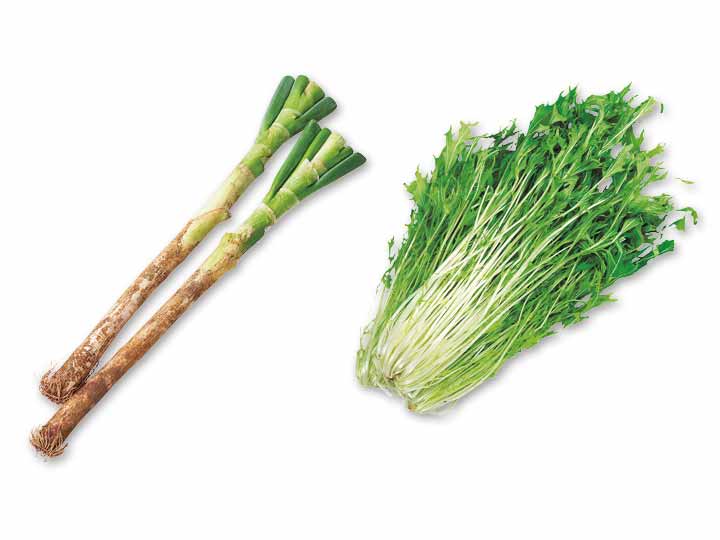 香りと爽やかさをプラス　長ねぎ＆水菜のセット