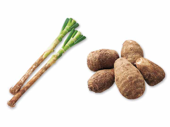 ほっこり和の味　長ねぎ＆里芋のセット