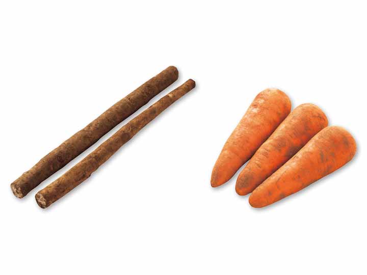 香り立つ根菜　ごぼう＆人参のセット