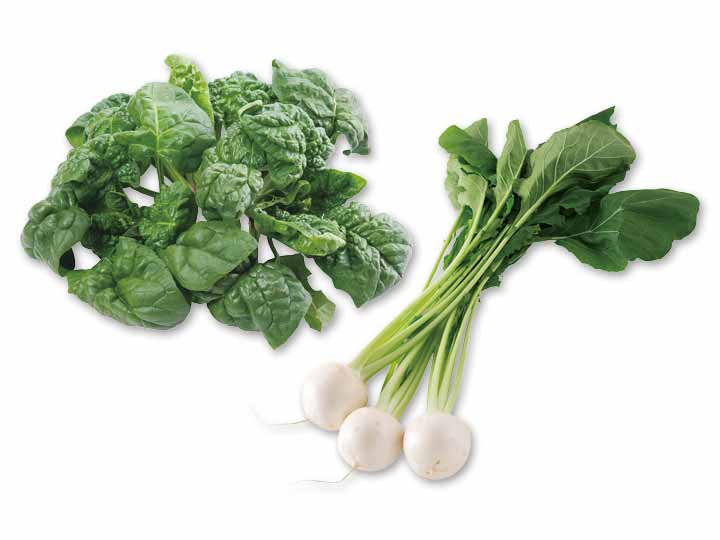 季節の恵みを感じる　寒ちぢみほうれんそう＆かぶのセット