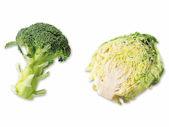 具だくさんスープにぴったり　ブロッコリー＆キャベツ1／2のセット