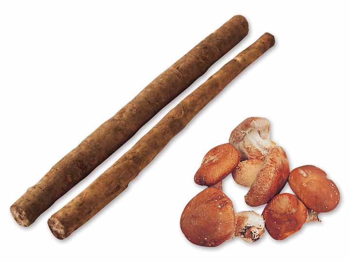 香り立つ和の味わい　ごぼう＆生しいたけのセット