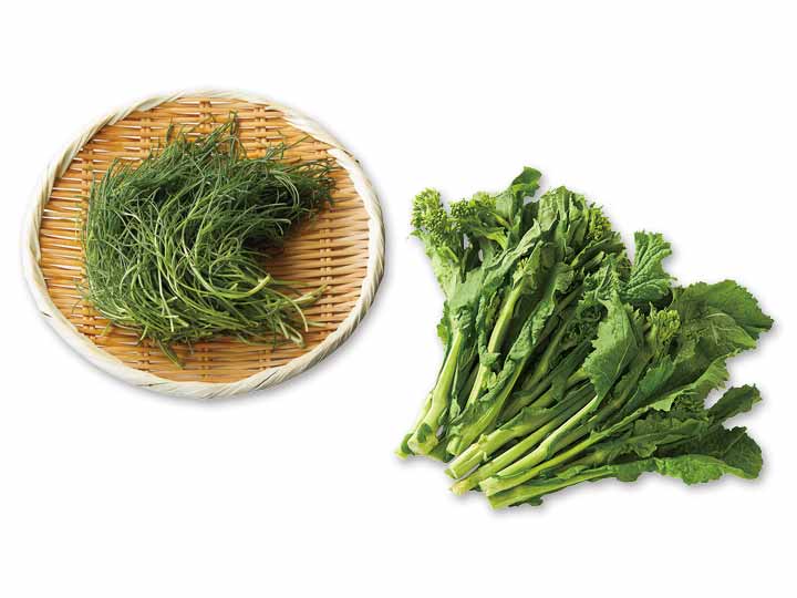 さっと調理で春らしい一品に　おかひじき＆菜花のセット