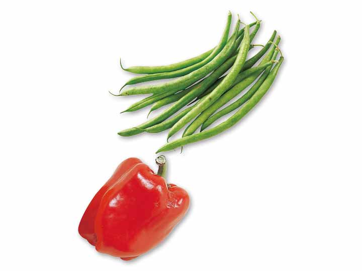 春の食卓にうれしい彩り　いんげん＆パプリカのセット