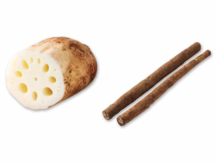 切り方で表情が変わる　加賀れんこん＆ごぼうのセット