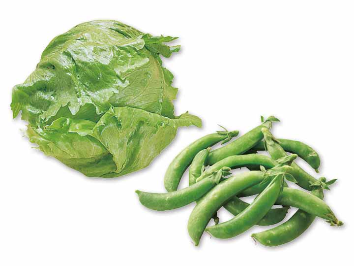 みずみずしい春の恵みを食卓に　春レタス＆スナップえんどうのセット