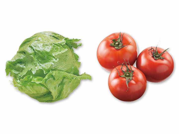 春の瑞々しさ、そのまま　シャキッと軽く飯塚さんの春レタス＆がまだすトマトのセット