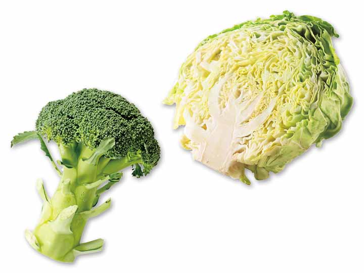さっと使えて、幅広く活躍　ブロッコリー＆キャベツ1／2のセット