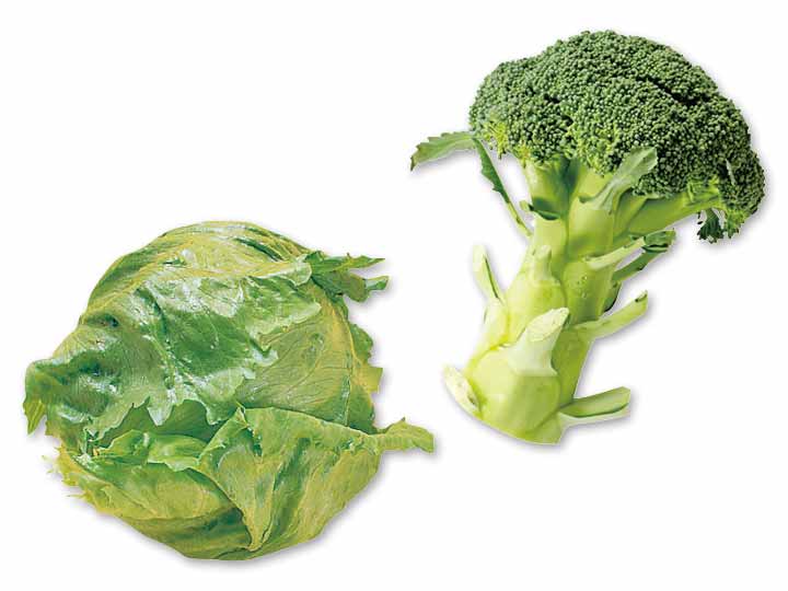 サラダや温野菜で楽しむ　レタス＆ブロッコリーのセット