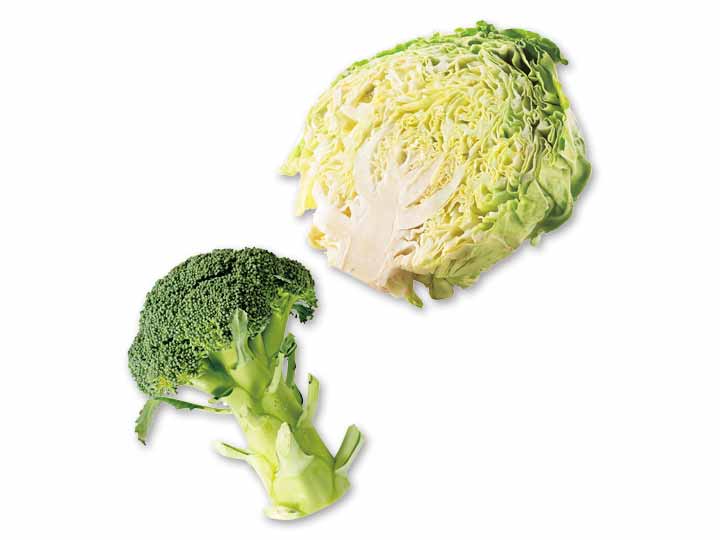 食卓の即戦力　高原キャベツ1／2＆ブロッコリーのセット
