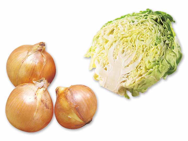 甘みとコクを味わう　札幌黄＆キャベツ1／2のセット