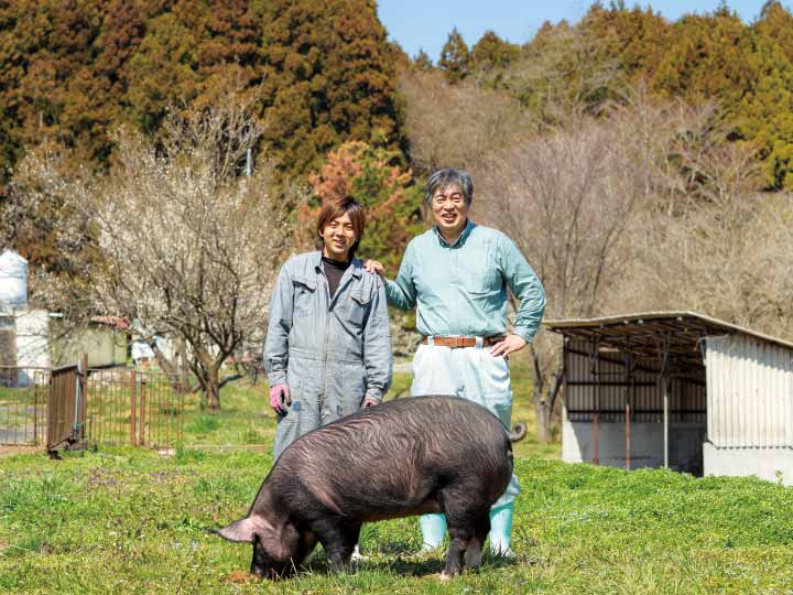 大地うまみこい豚　モモブロック_3