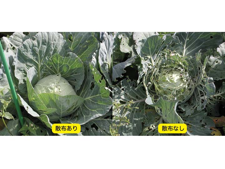 土壌改良 植物活性液 ｐｇｓ 1000 有機野菜や自然食品の購入は大地を守る会のお買い物サイト