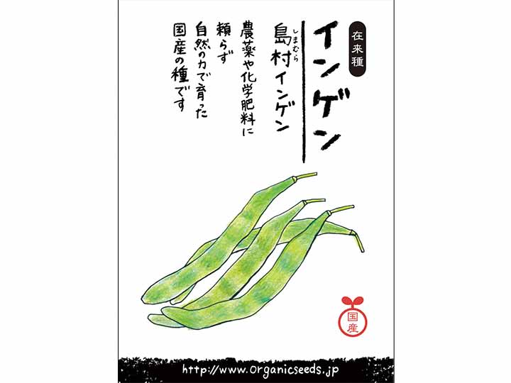 国産自然農法種子 インゲン 島村インゲン 有機野菜や自然食品の購入は大地を守る会のお買い物サイト