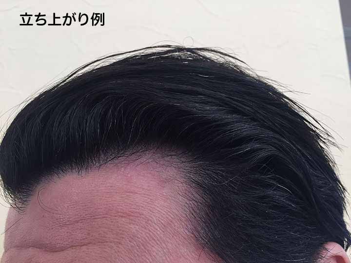パルセイユ ヘアスタイリングミルク ハードタイプ_2