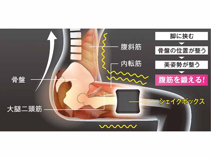 予約　ジムテリアシェイクボックス　巾着ケース付き（オリーブ）_5
