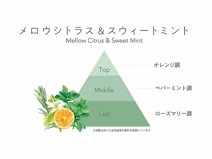パックスオリー ボディーコンディショナー(メロウシトラス&スウィートミント)詰替用_2