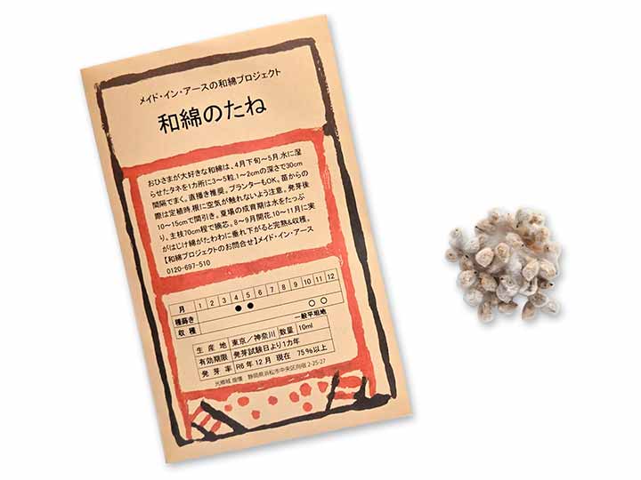 予約　和綿のたね