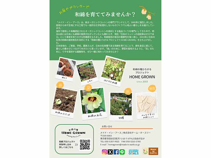 予約　和綿のたね_3