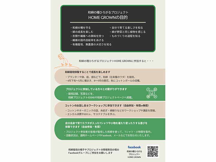 予約　和綿のたね_5