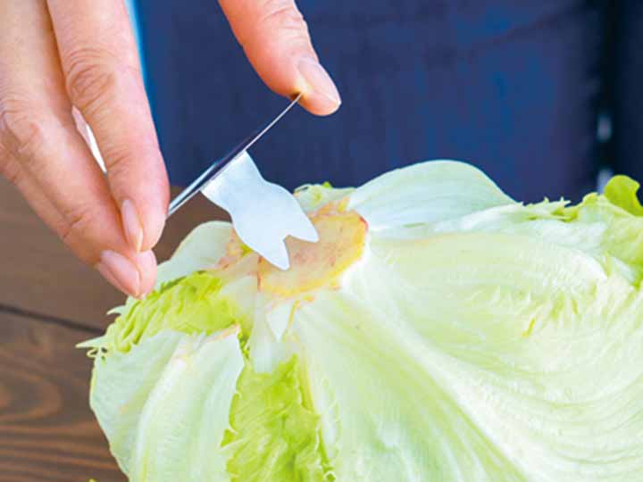 芯から冷やす！野菜長持ちスタンド　2枚入り_3