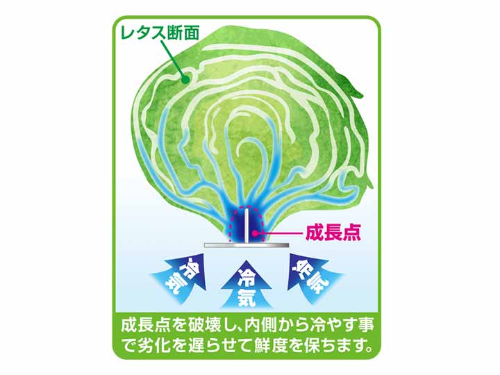 芯から冷やす！野菜長持ちスタンド　2枚入り_4
