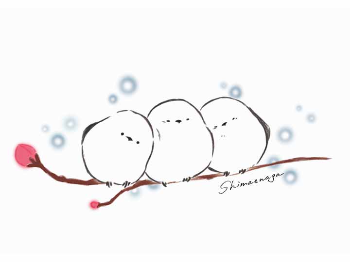 予約　シマエナガのマグカップ（1コ）_3