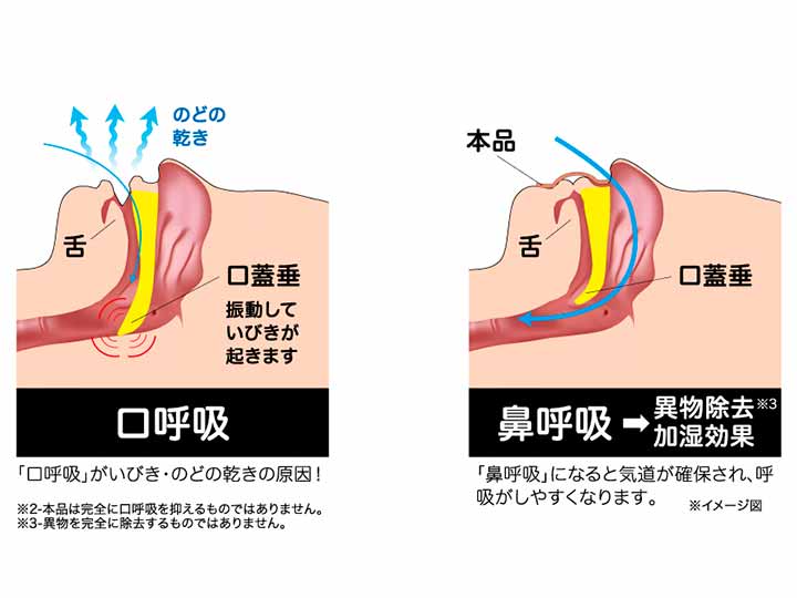 予約　ピタっと貼るだけすやすやナイト36枚入り_5