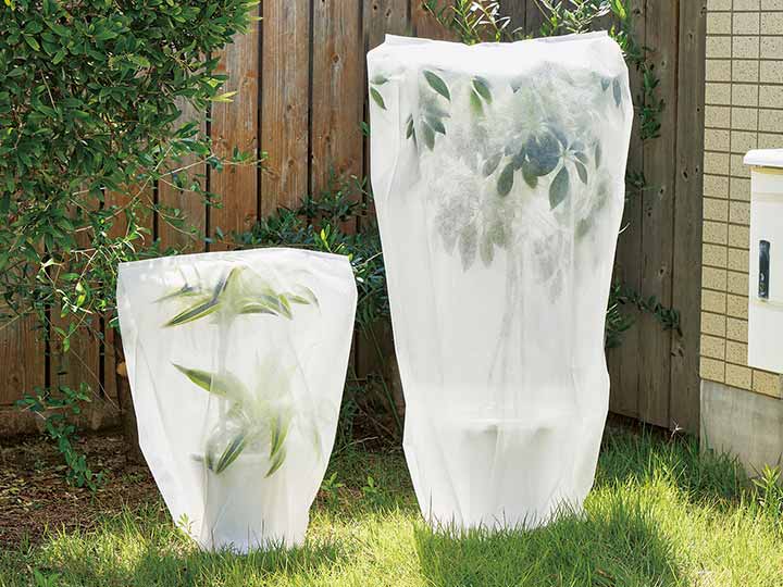 予約　マチ付き霜よけ・虫よけカバー5枚組