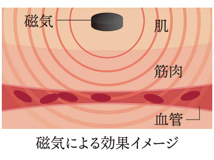 予約　ｂｌｏｏｍ　ｍｅ　足指サポーター　パープル_3