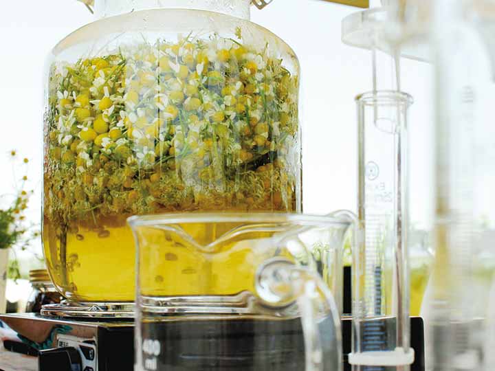 予約 ARTE ハーバルウォーター カミツレ_3