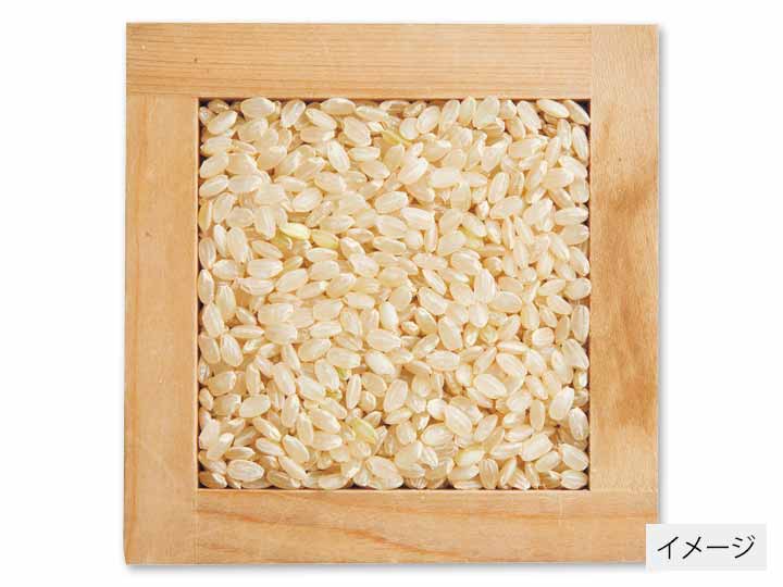 もったいナイ・米（栽培期間中農薬不使用）玄米