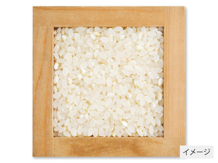 北海道ななつぼし胚芽米