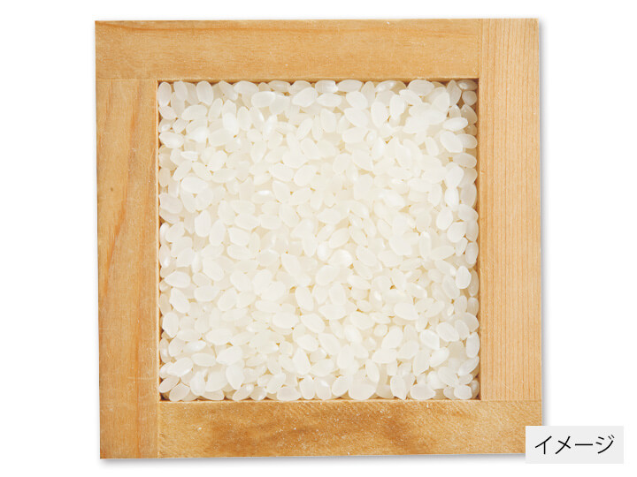 高知コシヒカリ（栽培期間中農薬不使用）白米