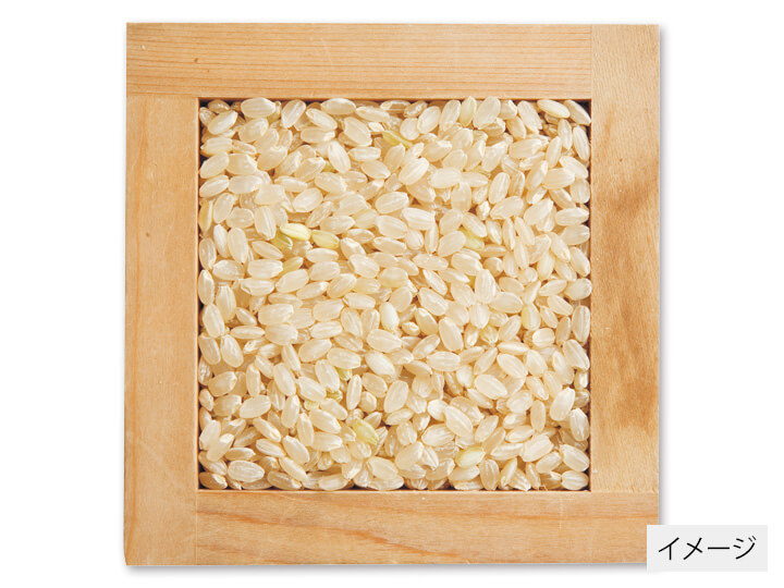 高知コシヒカリ（栽培期間中農薬不使用）玄米