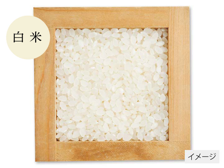 登録　米蔵熟成　稲田稲作研究会のコシヒカリ　白米3KG12回_2