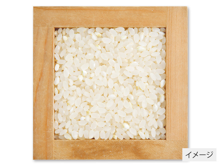 北海道ななつぼし胚芽米　2KG