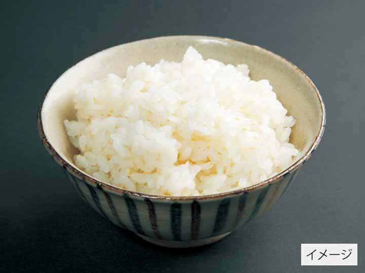 宮城ひとめぼれ胚芽米　2KG_2