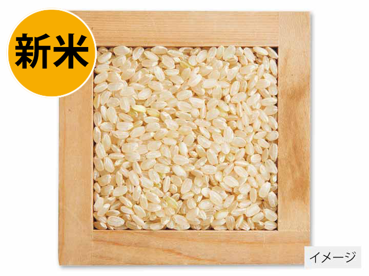 新潟コシヒカリ玄米　3KG