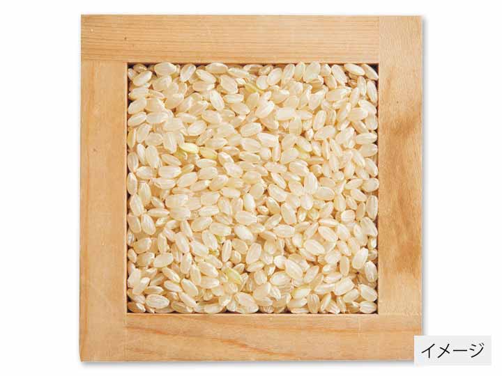 新潟コシヒカリ玄米　2KG