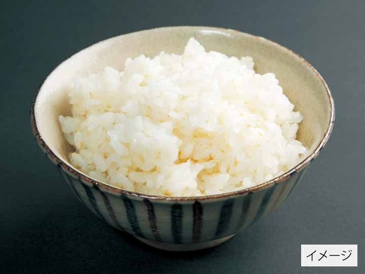 宮崎コシヒカリ胚芽米　3KG_2