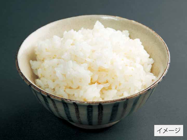 千葉コシヒカリ胚芽米　3KG_2