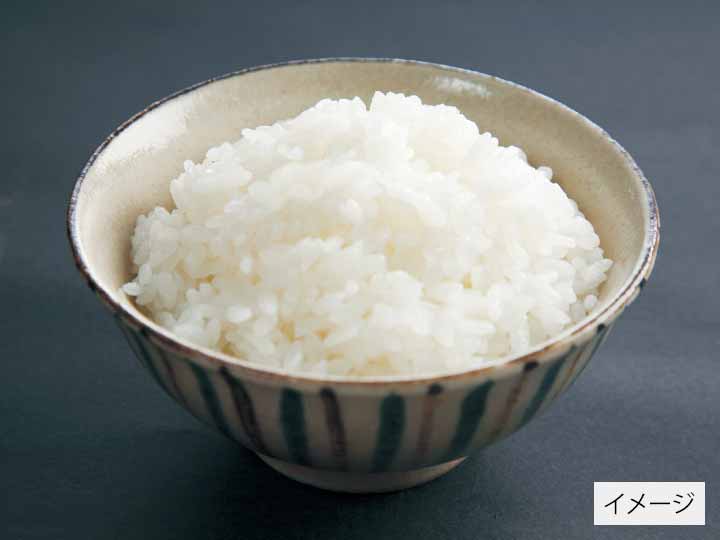 高知コシヒカリ（栽培期間中節減対象農薬不使用）白米　2KG_2